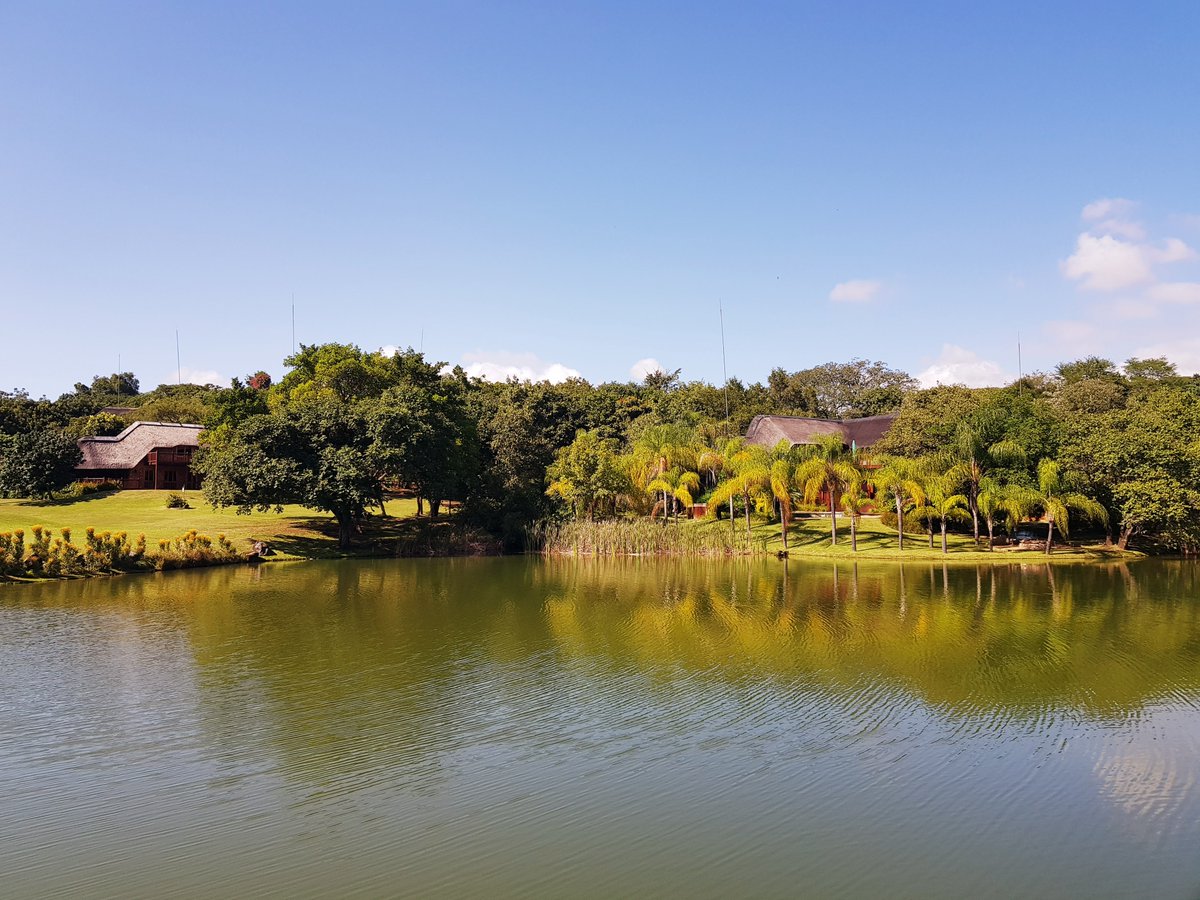 KPLodge's tweet image. A walk around the resort will allow you to experience the beauty and tranquility of the bush. You might encounter our herd of Impala, catch a glimpse of the Nyala's, or be amused by the cheeky vervet monkeys ✨ 📞 +27 (0) 13 737 5000 or email 📨 kruger@legacyhotels.com