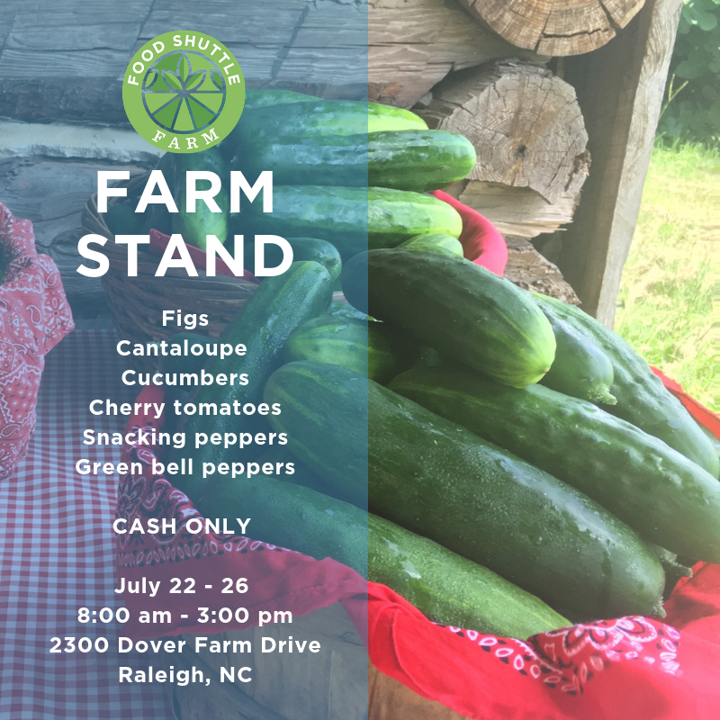 FoodShuttle's tweet photo. We think the #FarmStand options this week are cool as a cucumber! Come by for figs, cantaloupe, cucumbers, cherry tomatoes, snacking peppers, and green bell peppers from the #FoodShuttleFarm. Open 8am-3pm M-F at 2300 Dover Farm Drive in Raleigh. Don't forget cash! 💵#EatLocal https://t.co/NzVE2VquSs