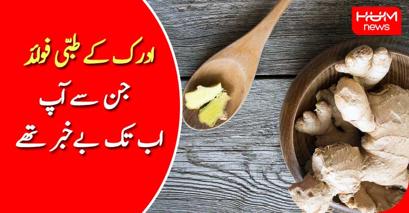 humnewspakistan's tweet photo. ادرک کے وہ طبی فوائد جن سے آپ اب تک بے خبر تھے
۔۔۔۔۔۔۔۔۔۔۔۔۔۔۔۔۔۔۔۔۔۔۔۔۔۔۔۔۔۔۔۔۔۔۔۔۔۔۔۔۔۔۔۔۔۔۔۔۔۔۔۔
تفصیل پڑھیں: https://t.co/rEK4Io0pYd
۔۔۔۔۔۔۔۔۔۔۔۔۔۔۔۔۔۔۔۔۔۔۔۔۔۔۔۔۔۔۔۔۔۔۔۔۔��۔۔۔۔۔۔۔۔۔۔۔۔۔۔
#HumNews #HumHealth #Health #Ginger https://t.co/7APcPUK5yu