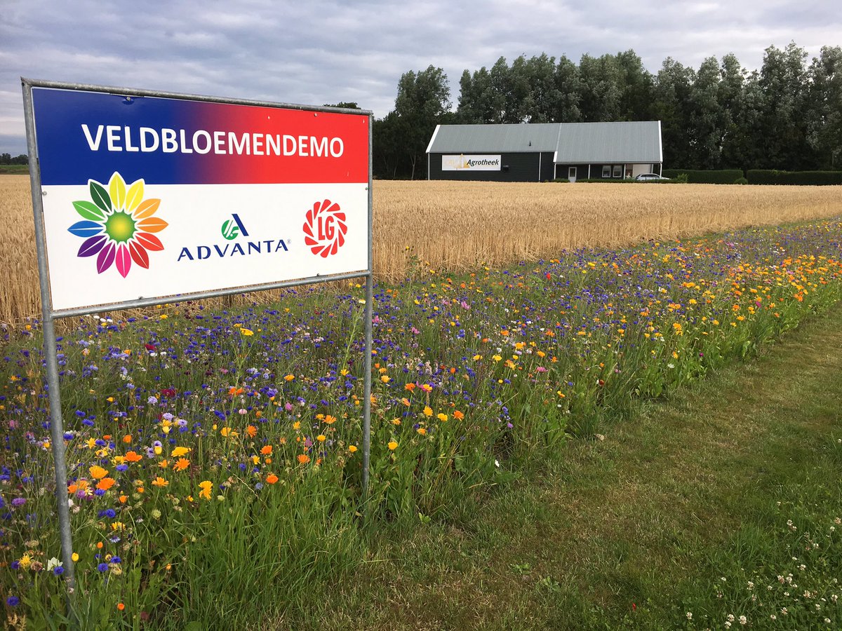 Michel de Groot tweet media