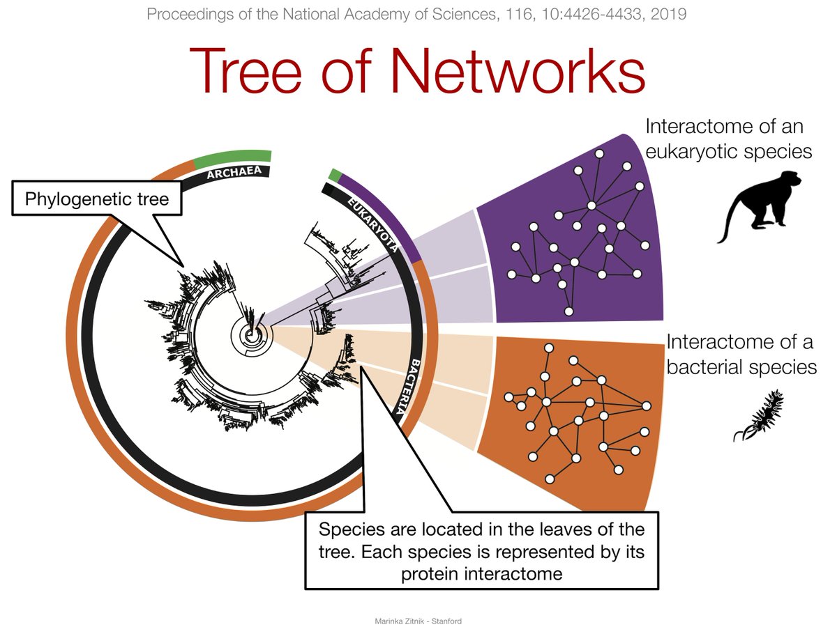 marinkazitnik's tweet image. Slides from my talk on Massive analysis of protein interactomes across the tree of life #ISMBECCB #NetBio stanford.edu/~marinka/slide…