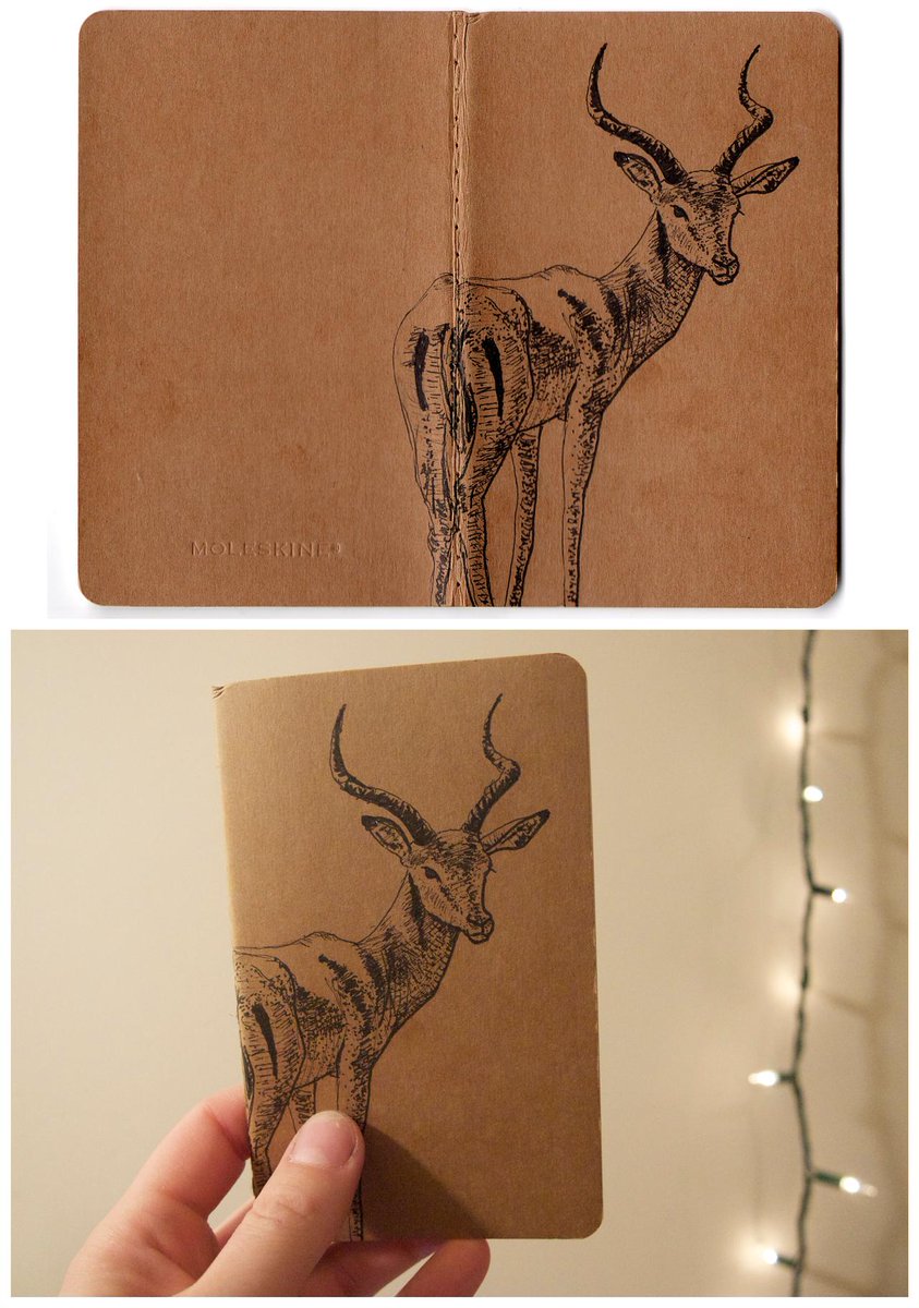 ink drawing of an impala on a moleskine notebok