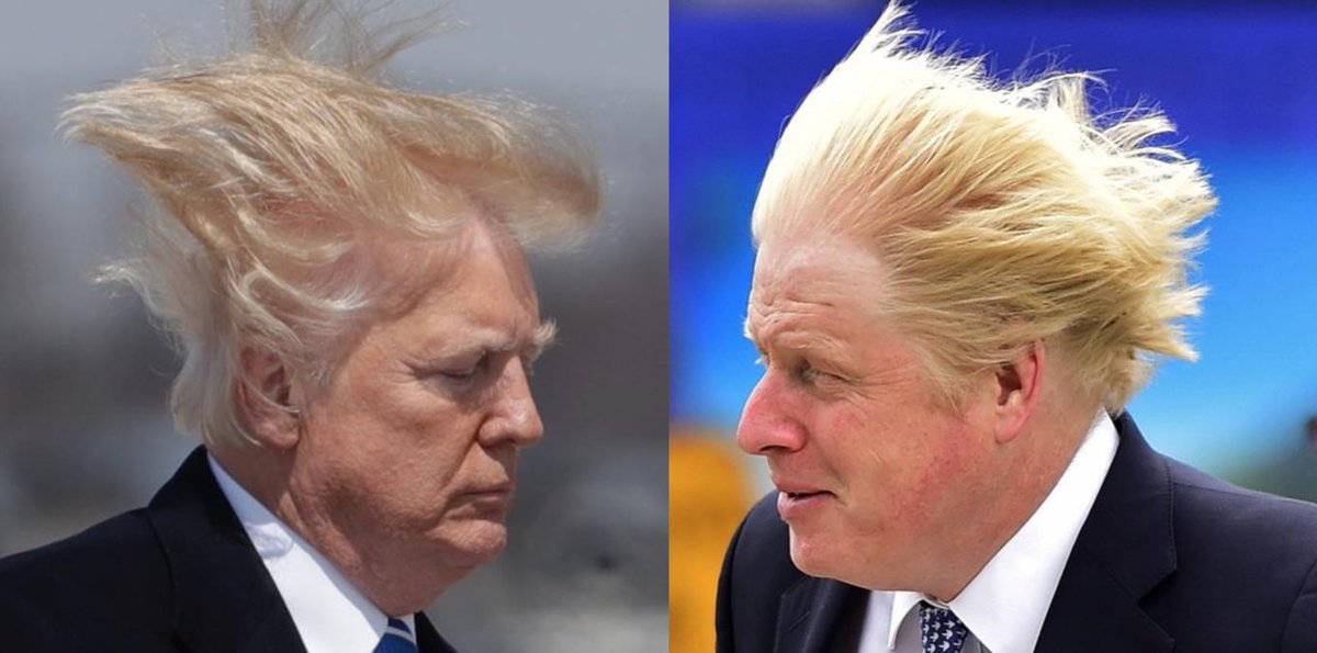 Richard Dawkins On Twitter Trump On Boris Johnson Britain Trump Does He Have A Point