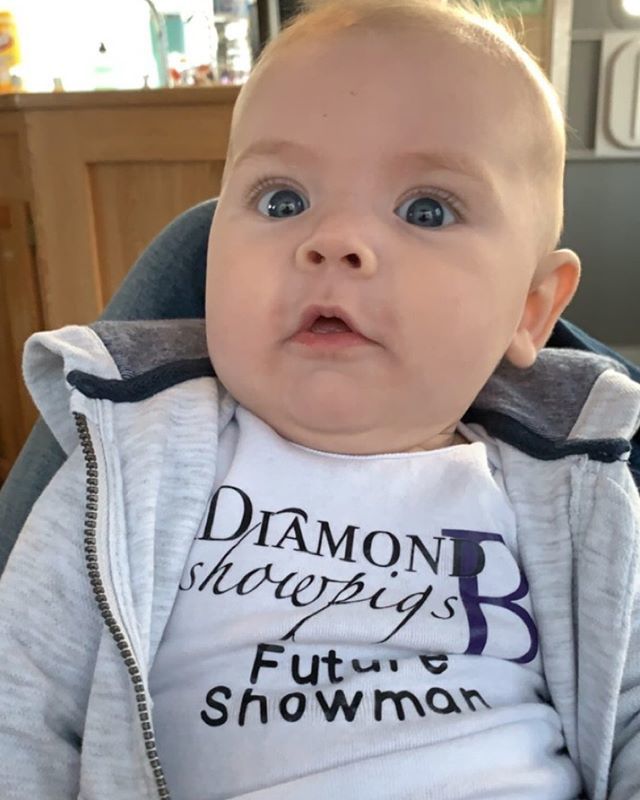 Diamondbshowpig's tweet photo. Hey, hey, it’s pig show day! 🐷
A beautiful day for a pig show at the Jasper County Fair! #diamondbshowteam https://t.co/fIj6MyDZOm https://t.co/XSLC9MoQIf