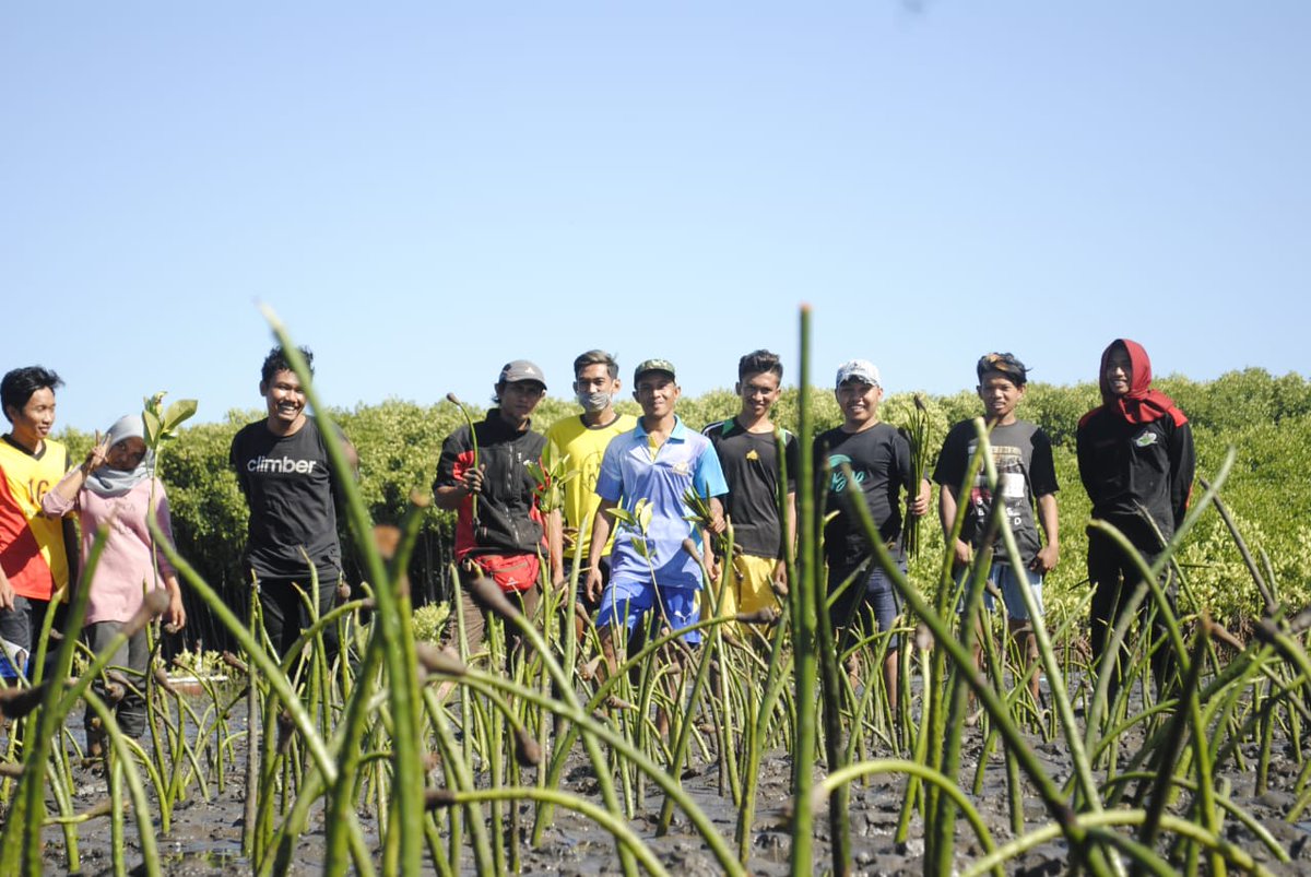 Penanaman Mangrove di Hutan mangrove ra'ra

#mangroverara
#ayotanammangrove