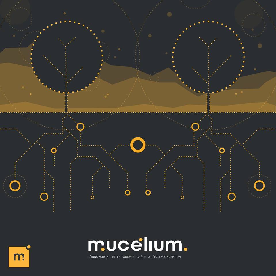 D'où vient le nom #Mucélium? 🧐
Dans le sol d'une forêt, un réseau de champignons, le Mycelium, s'entremêle avec les racines des arbres. Ce réseau permet un échange de nourriture et d'informations pour augmenter la résilience de l’écosystème🌲
Mycelium x <a href="/Cooperativemu/">Coopérative Mu</a> = Mucelium