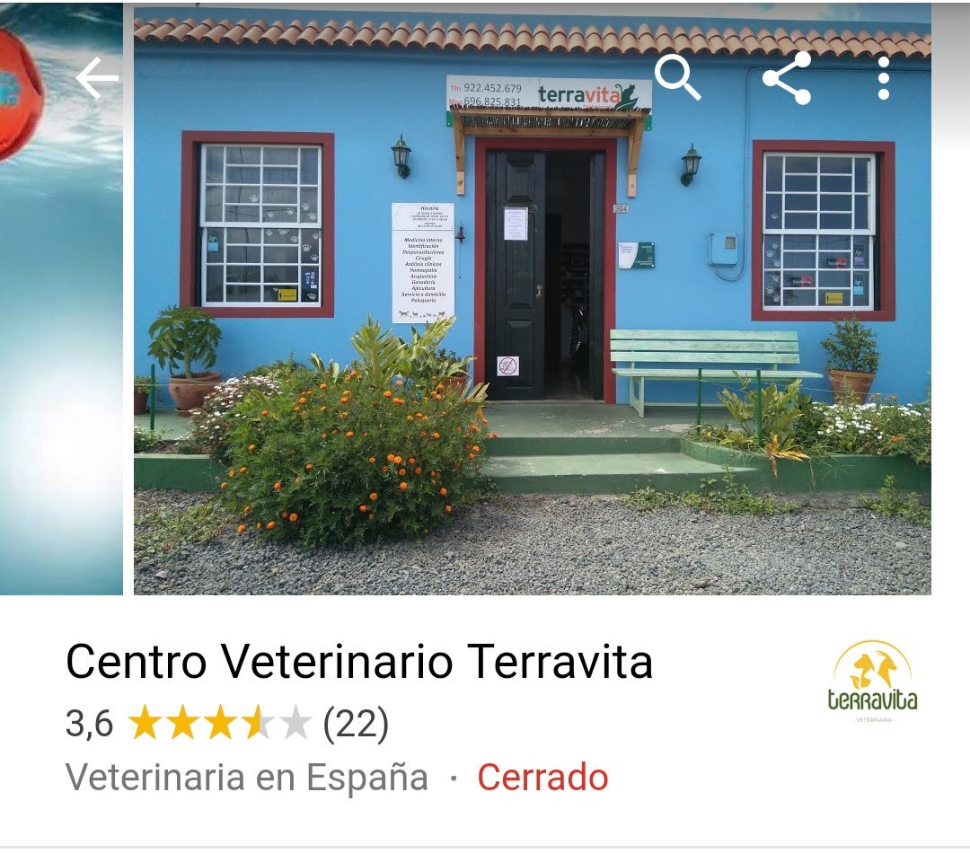 AmandaDomoKun's tweet image. ‼️ Gente de La Palma que tenga mascotas‼️
Por el bien de vuestros animalitos NO los llevéis a este centro veterinario (está bajando a puerto naos desde Los Llanos)
Abro hilo de mi experiencia del otro día en este lugar;