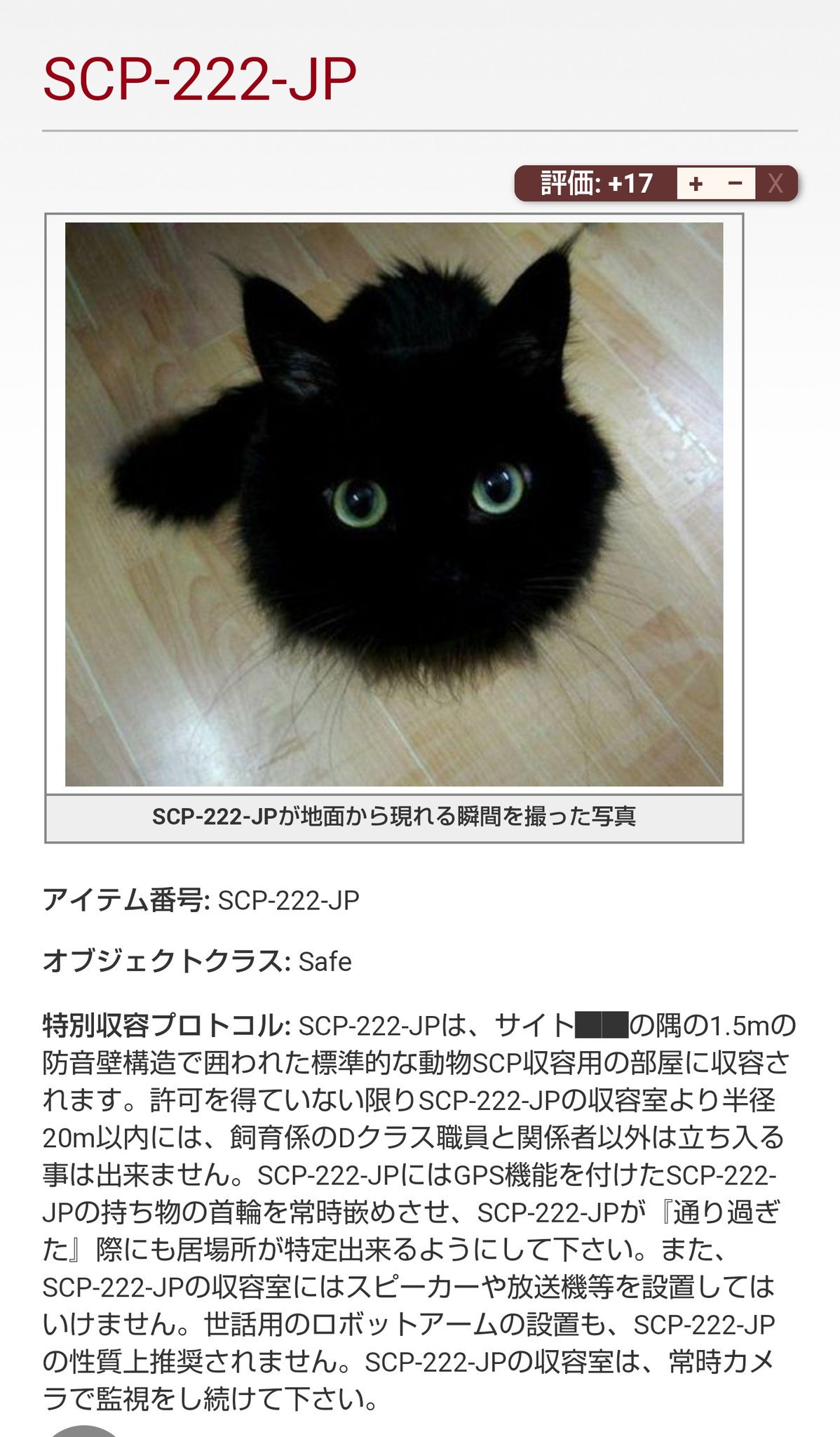 ⭕️黒猫さん専用　検討中 Kosuke | AWS Community Builder on X: 