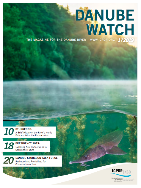 We_Pass_'s tweet photo. In the latest edition of @ICPDR_ORG's #DanubeWatch magazine, three scientists contribute to an article examining the threatened future of Sturgeons. You can read a digital version of the magazine for free here: https://t.co/Fwcge0EmAf https://t.co/gIa4v8leK9