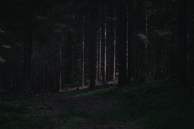 Dvorix's tweet photo. Spotlight.
.
.
.
.
#sonyimages #sonya7ii #featureshotz #igerscz #sonygangcz #banalography #czechlandscape https://t.co/eKG582KXDO