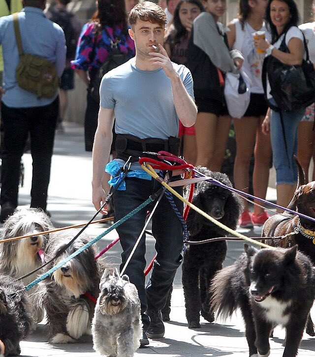 Happy birthday, Daniel Radcliffe! Original short king. 