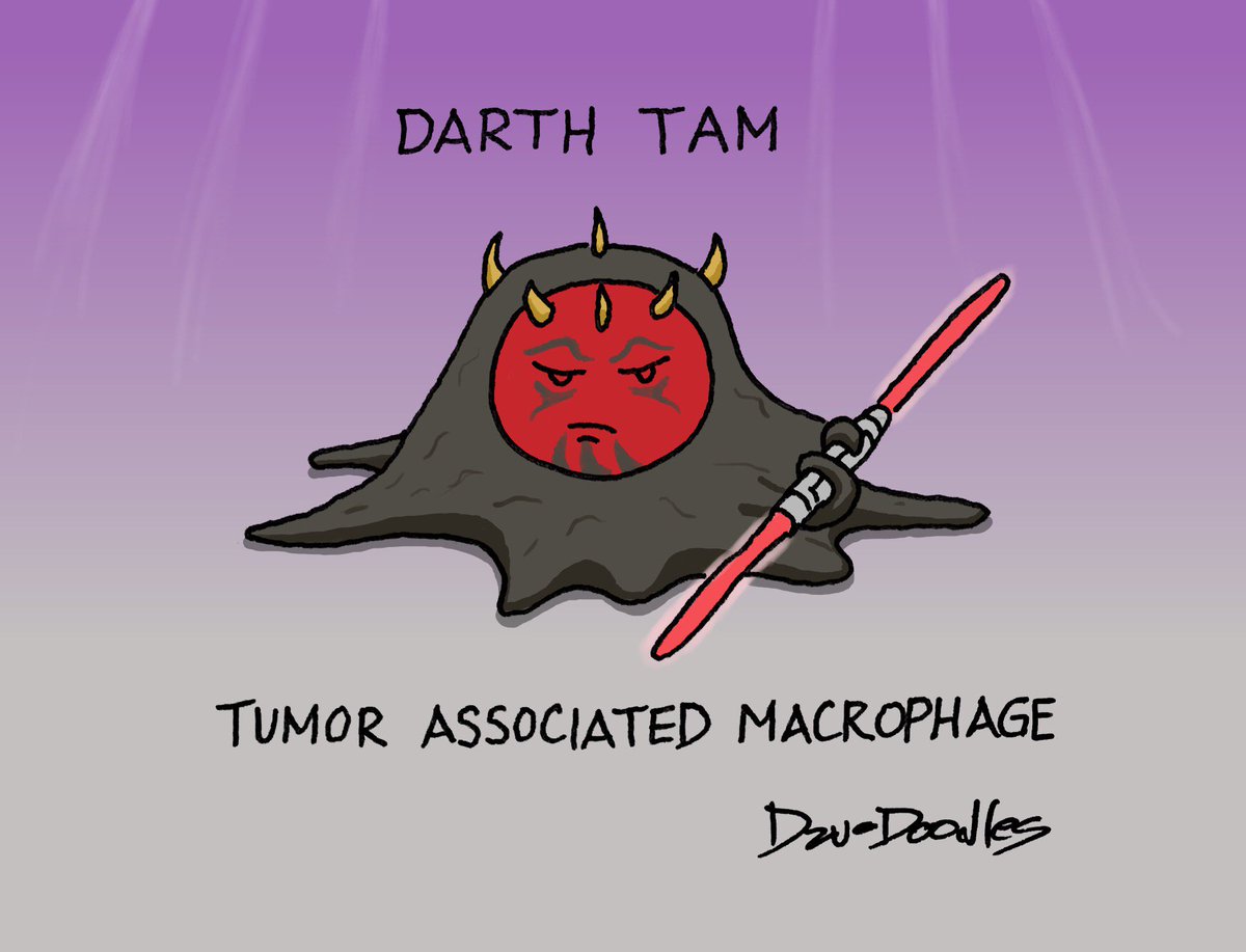 DzuDoodles's tweet photo. When Macrophages join the dark side... https://t.co/kwNIlWmBVI