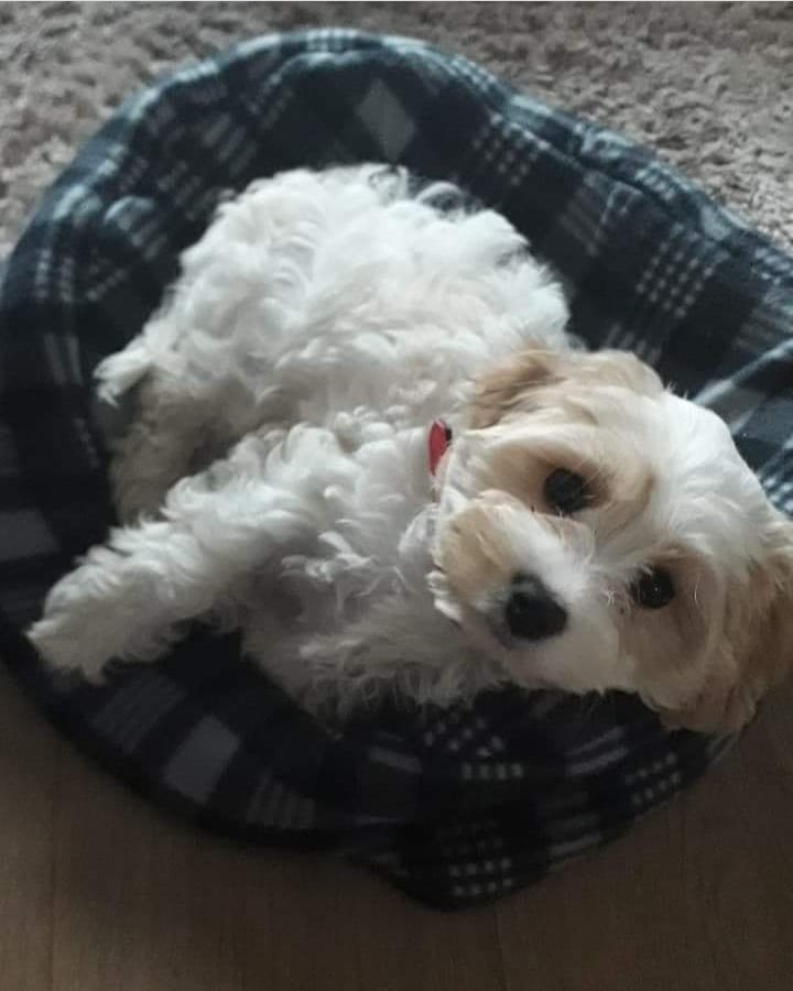 Nug-Life tweet media