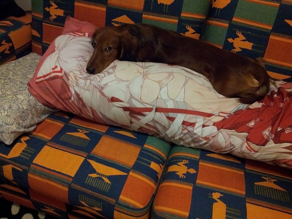 mp4 to youtube converter (@hotbarack) on Twitter photo 