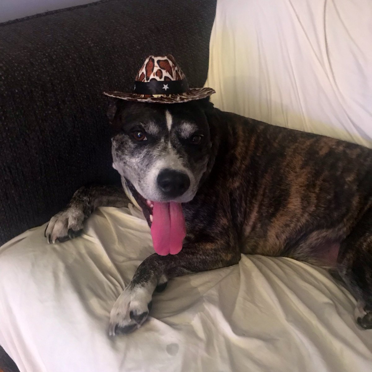 Andrea Mathias tweet media