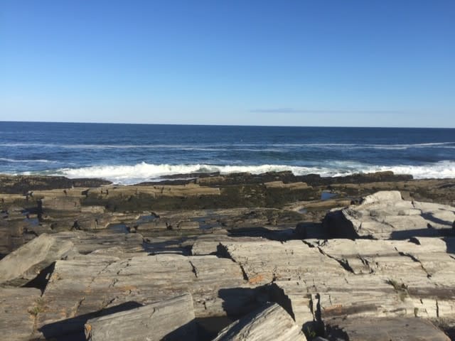 Bayside_Village's tweet photo. Maine! The way life should be! Lease today at Bayside Village! Fall Semester starts soon! Don't delay! https://t.co/ESWEsAkPMU
