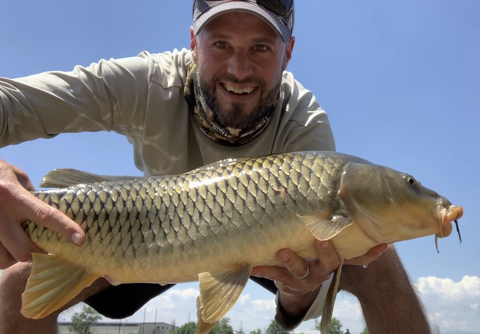 One Shot, One Cast, One Pissed Off Carp. #CarpOnTheFly #FlyFishing #SuckMyFly