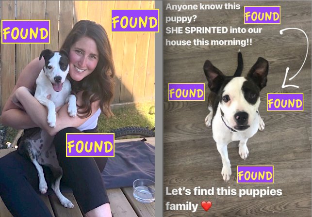 Small BLACK &amp; WHITE DOG FOUND in COPPERWOOD WEST: facebook.com/LethbridgeAndA… *PLEASE RT* <a href="/CopperwoodLeth/">Copperwood</a> <a href="/jessfehr5/">Jess Fehr</a> 
#YQL