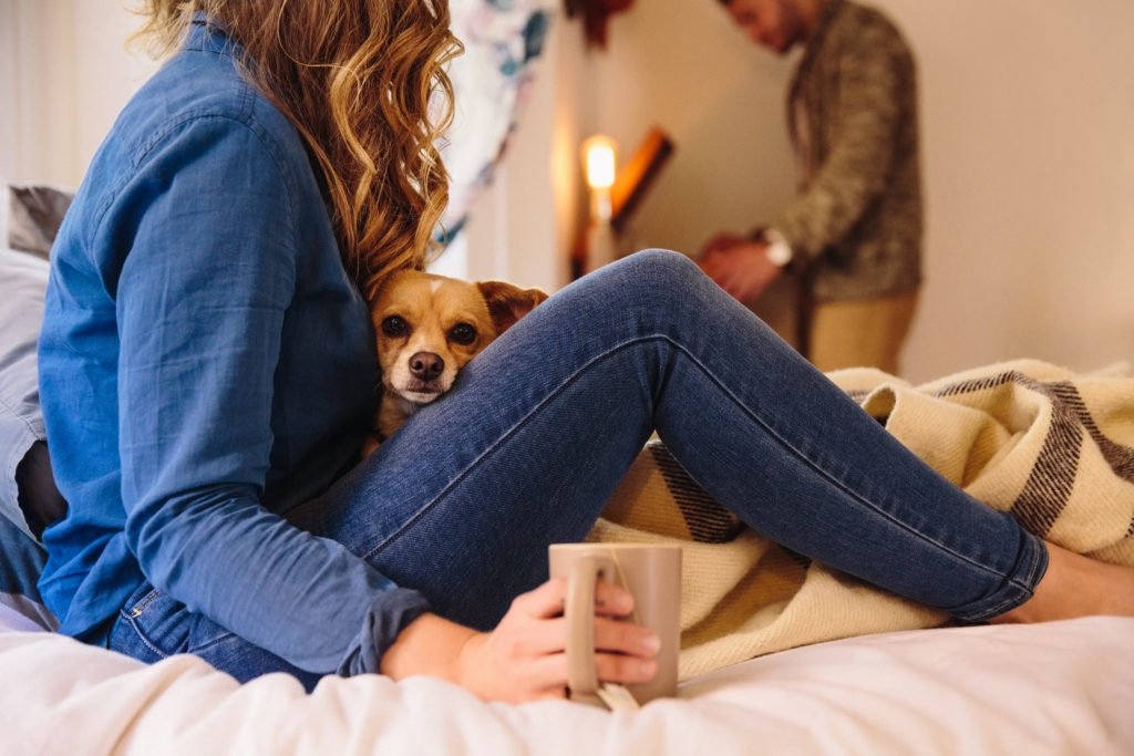 People love their pets. So much, in fact, that many pet owners won’t even consider a rental property that isn’t pet friendly - bit.ly/32MxozZ