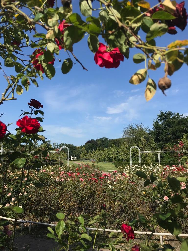 Let op: #zomerstop! Lees hier onze laatste #update voor de zomer! 

facebook.com/44502793939946…