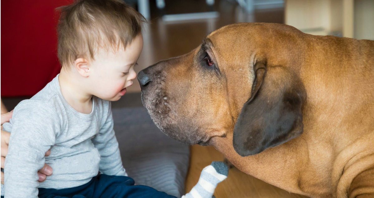 Mom Bribes Baby To Say ‘Mama,’ But Surprised When Dog Says ‘Mama’ First moms.com/dog-says-mama-…