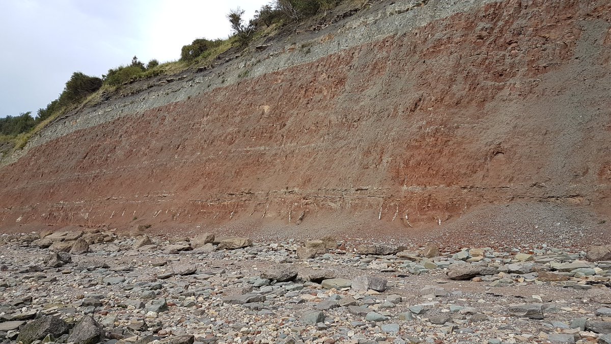 Great fossiling tonight after work - very pleased to have found 2 vertebrae at the Aust cliff. Suspect from icthyosaur! 🦕🦖🦕🦖