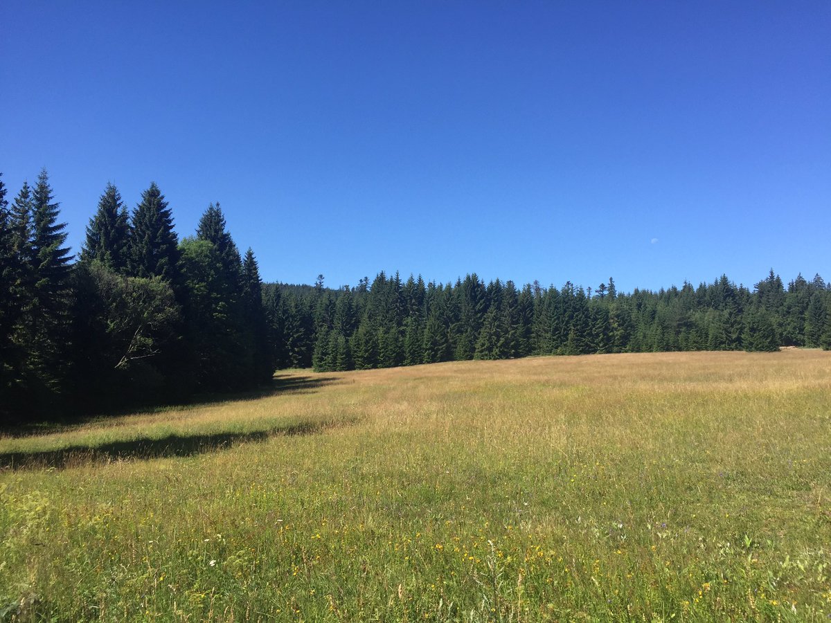 wdowy's tweet photo. @GoGeocaching in #Sumava 
#geocaching #czechia #nature https://t.co/iKVgTaUKUK