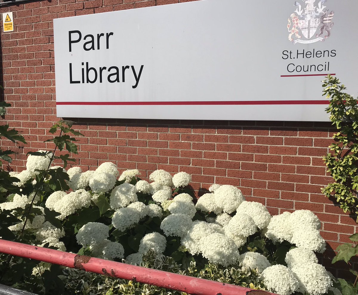 MandiB_'s tweet photo. How glorious are the #hydrangea plants outside @STHLibraries #ParrLibrary today #flowers #sunshine #summerishere https://t.co/J4RTUlMwrt