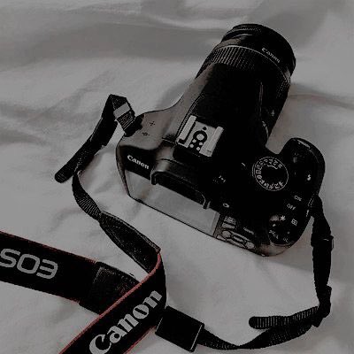 wildernesssoul's tweet photo. —— 𝐀𝐀𝐑𝐎𝐍 𝐖𝐎𝐎𝐃𝐁𝐑𝐈𝐃𝐆𝐄.

❝ If you cannot do 𝒈𝒓𝒆𝒂𝒕 𝒕𝒉𝒊𝒏𝒈𝒔, do 𝒔𝒎𝒂𝒍𝒍 𝒕𝒉𝒊𝒏𝒈𝒔 in a 𝒈𝒓𝒆𝒂𝒕 𝒘𝒂𝒚. ❞

﹆ Botanic student in Oxford.   
﹆ Owner of Maggie’s Pub.     
﹆ Chudley Cannons beater. https://t.co/CquDT1Ztwi