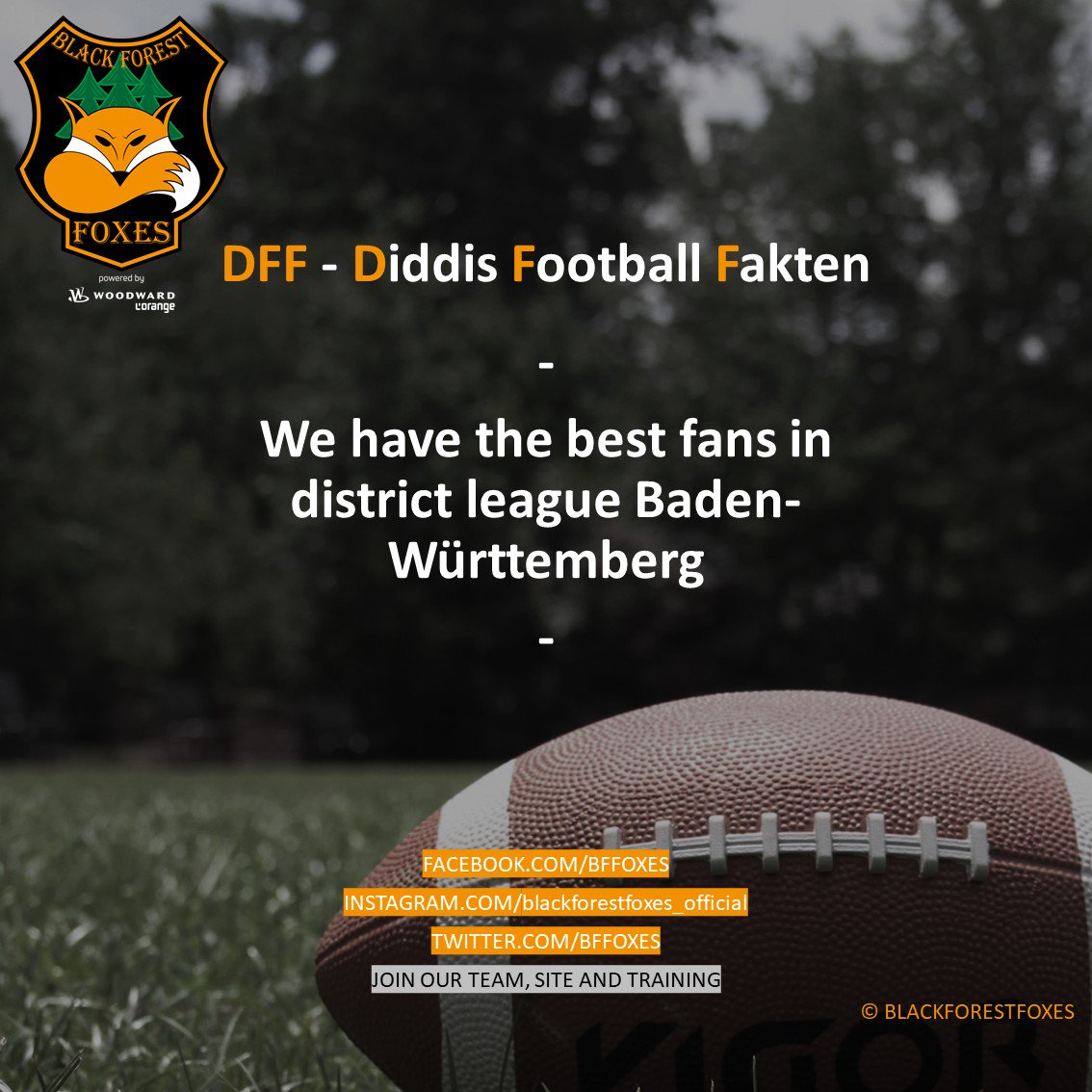 bffoxes's tweet photo. #dff #diddisfootballfakten #foxes #blackforestfoxes #woodward #lorange #rannfl #rannflsüchtig #nfl #gfl #eaglesherrenberg #offense #defense #football #americanfootball #superbowl #nfldraft #footballseason #touchdown #collegefootball #nflfootball #footballfakten #footballfacts https://t.co/DAlIFIFENI