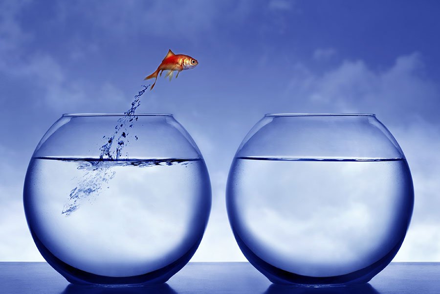 RevolutionEHR's tweet photo. Considering switching EHR software? Read Dr. Chad Fleming's article for insight on how to know when it's time to make a change, and 3 keys for making the switch a success! https://t.co/gwxa0v7a3P #optometryehr #revolutionehr #rev360 https://t.co/u76ta04QoF