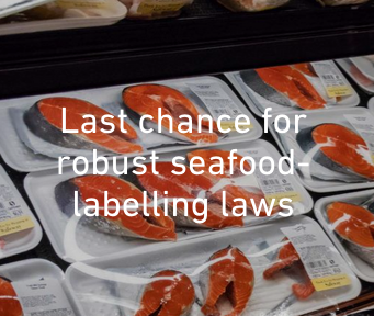 URGENT CALL FOR ACTION-Despite a six-year long initiative to modernize our food system, the <a href="/CFIA_Food/">CFIA</a> has yet to bring our seafood labelling laws into the 21st century. Tell them that their regulations miss the mark. davidsuzuki.org/action/seafood…