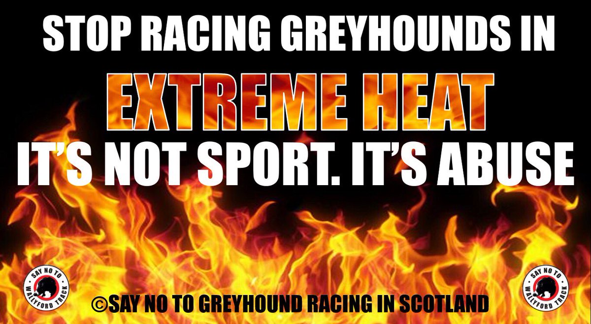 Jura_Harris's tweet photo. @GreyhoundBoard #Heatwave https://t.co/Yi7Yfc0G27