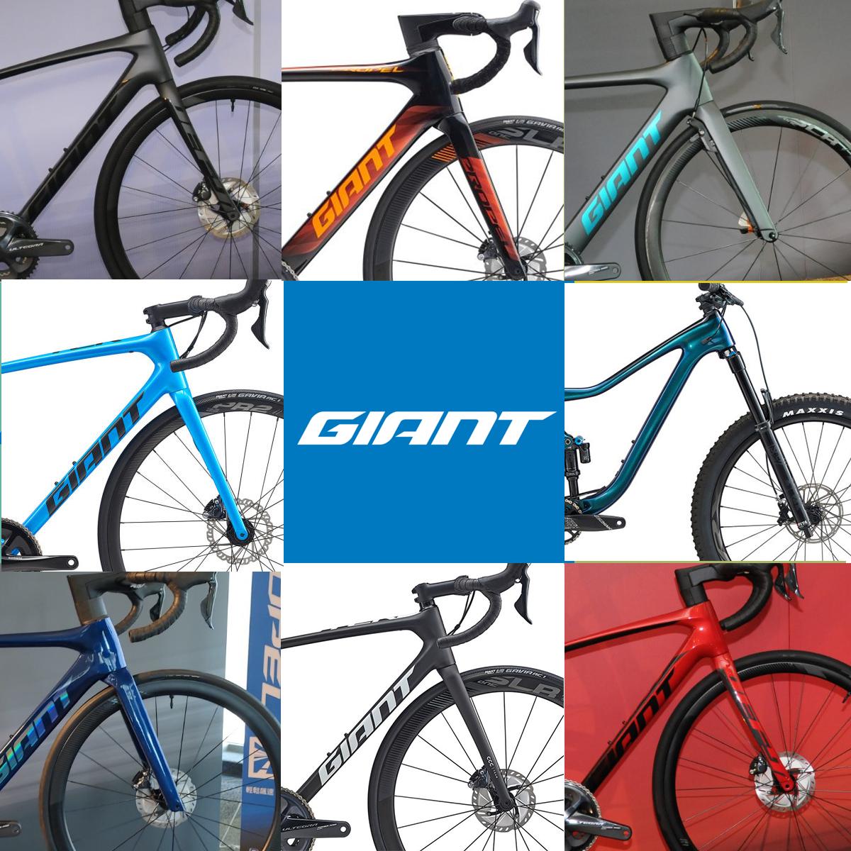 giant brand bicycles