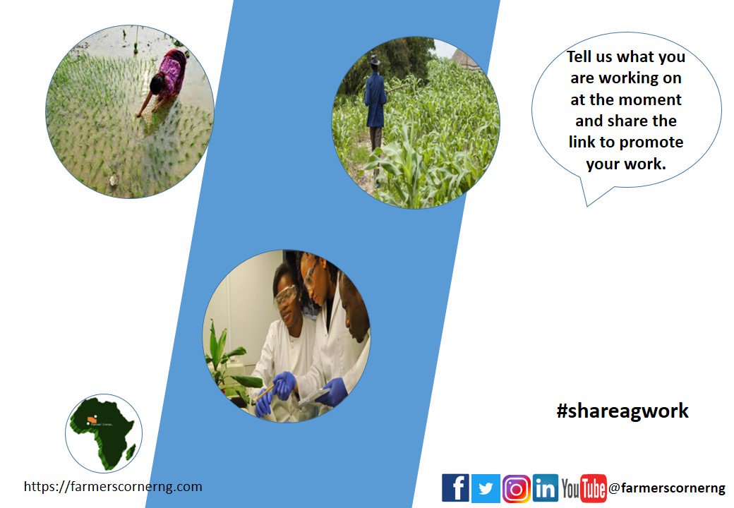farmerscornerng's tweet photo. It profit you as an individual or organisation to make your work know. Tell us and share the link to your agricultural work at the moment to get it promoted.
#shareagwork #agtwitter #sharedfacts #sdgstoday #agwork #agtech #farming #farmerscornerng https://t.co/NQ9KQ6UMfS