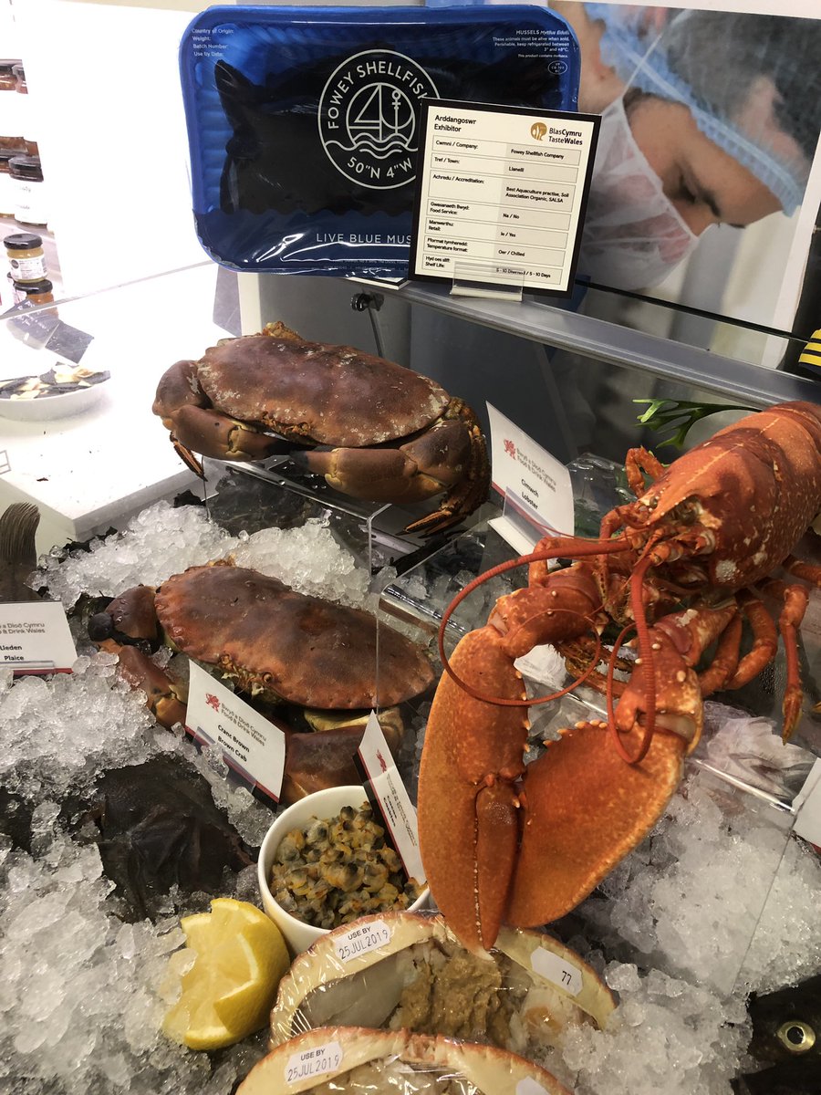 Great (but sweltering) day @royalwelshshow visiting @ClwstwrBwydMor @menterabusnes at their stand in the Buyers Lounge. Some stunning live and cooked  #WelshSeafood on display 🐟🦀🦞