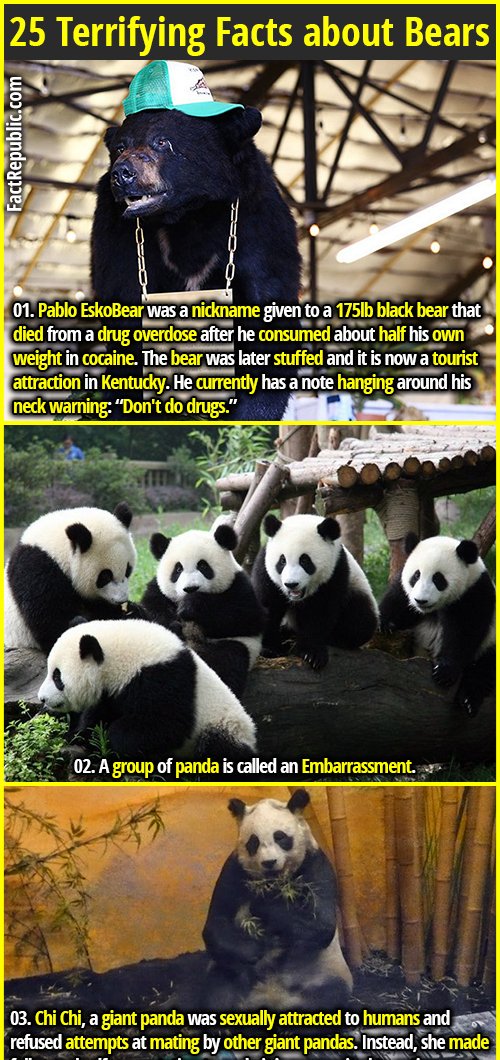 FactRepublic's tweet image. Check out our recent FR post

factrepublic.com/25-terrifying-…