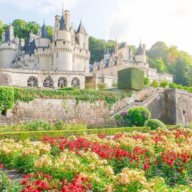 NewEnglandSlate tweet media