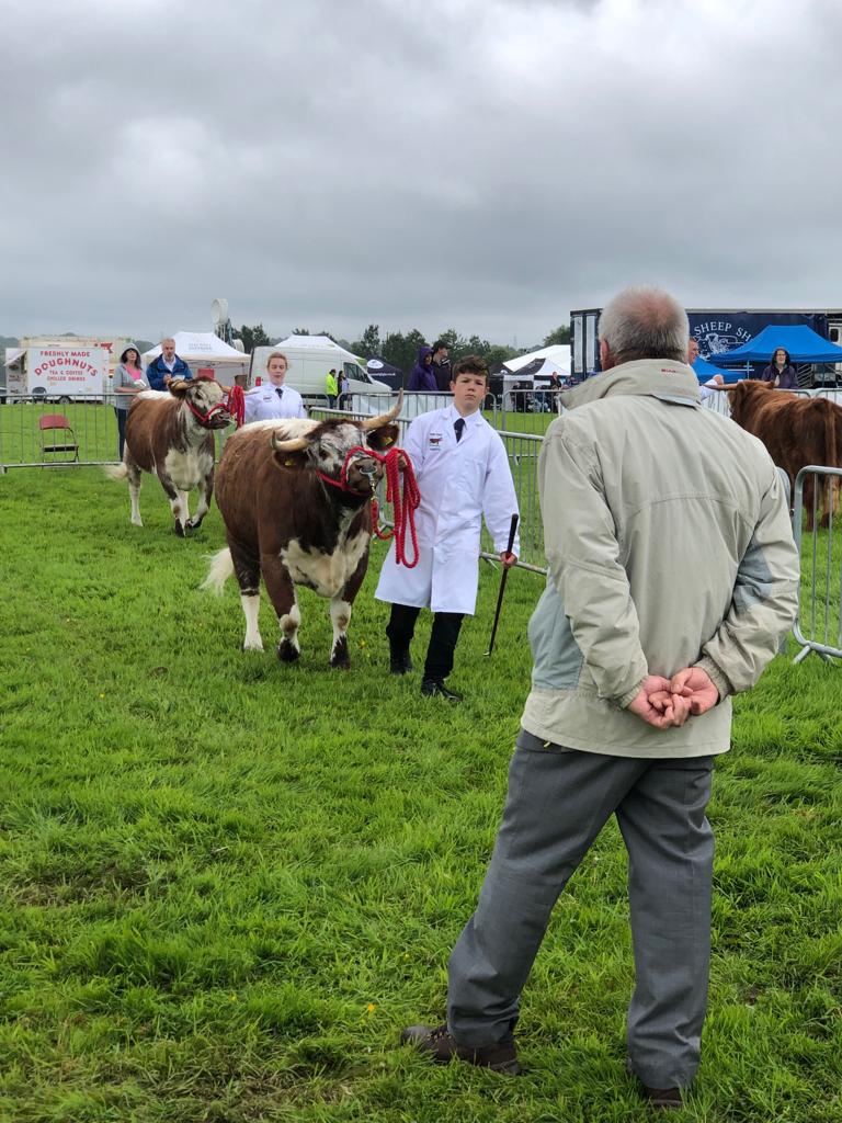Longhorn Cattle Society (@longhornoffice) on Twitter photo The livestock returned to the <a href="/royallancsshow/">Royal Lancs Show</a> Royal Lancashire Show after being absent for a few years, and Longhorns had classes there for the first time. Thanks to exhibitors Stephen Horrocks, Brian Wragg & judge Steve Gray.
longhorncattlesociety.com/calendar/2019-… The livestock returned to the <a href="/royallancsshow/">Royal Lancs Show</a> Royal Lancashire Show after being absent for a few years, and Longhorns had classes there for the first time. Thanks to exhibitors Stephen Horrocks, Brian Wragg & judge Steve Gray.
longhorncattlesociety.com/calendar/2019-…