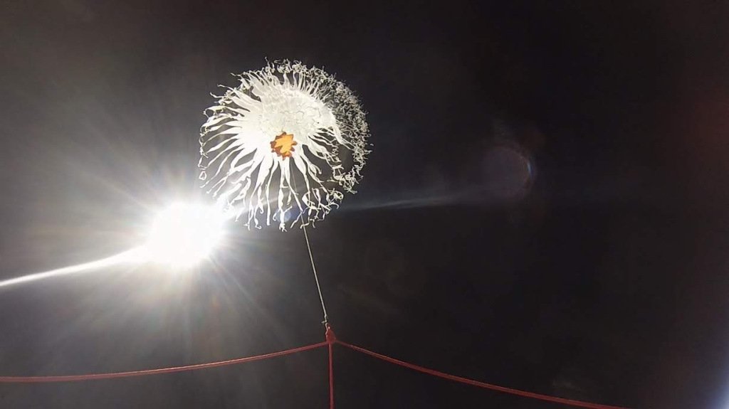 Back to Space 🌎 tweet media