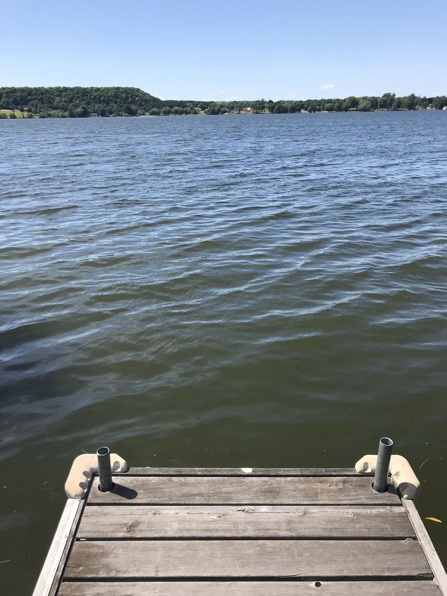 MsBuragina's tweet photo. Diving into #SEL resources whir enjoying the view. I can’t put this down - it speaks to the direction @alcdsb and @alcdsb_stfa are headed. #cottagereading
@Self_Reg @SELearningEDU
@kennedy77876983 https://t.co/4Yp0GR1UdK