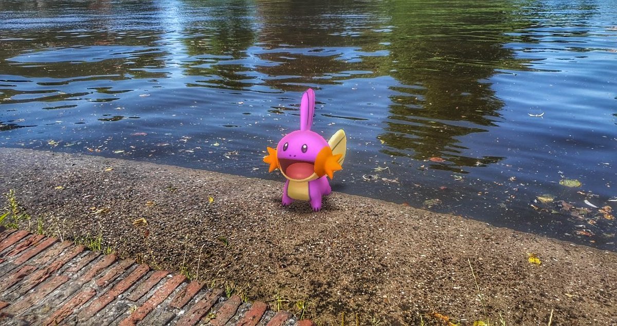 WolvesWisdom's tweet image. On the go with my Buddy
#GOsnapshot #PokemonGOPhoto #PokemonGO #PokemonGOARPlus