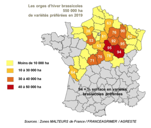 THDGrainoble's tweet photo. @gnis Bon cru récolte 2019 orge hiver 6 rangs (calibrage, PS) avec protéines dans la fourchette basse  #PIXEL et #KWSFARO  confirment potentiel supérieur #ETINCEL #VISUEL #ISOCEL @Arvalisofficiel @BrasseursFrance  @AemicFR @Agridemain @courtierasserm @AgroParisBourse https://t.co/h4lvRnDrvg