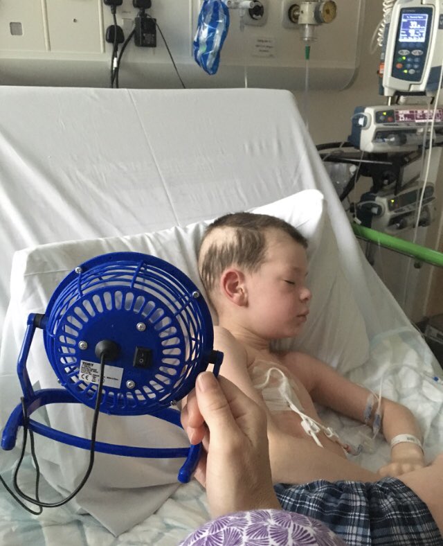 Holly Cross tweet media