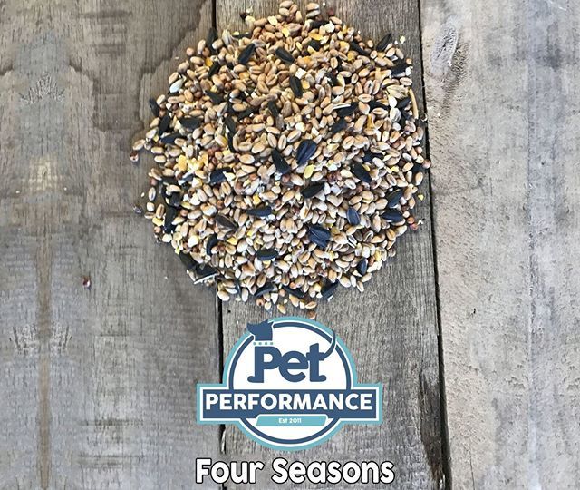 equestperform's tweet photo. Did you know we now sell our most popular wild bird seed online? Hugely favoured by our customers. 🐦 https://t.co/wkcM5TQZ0K