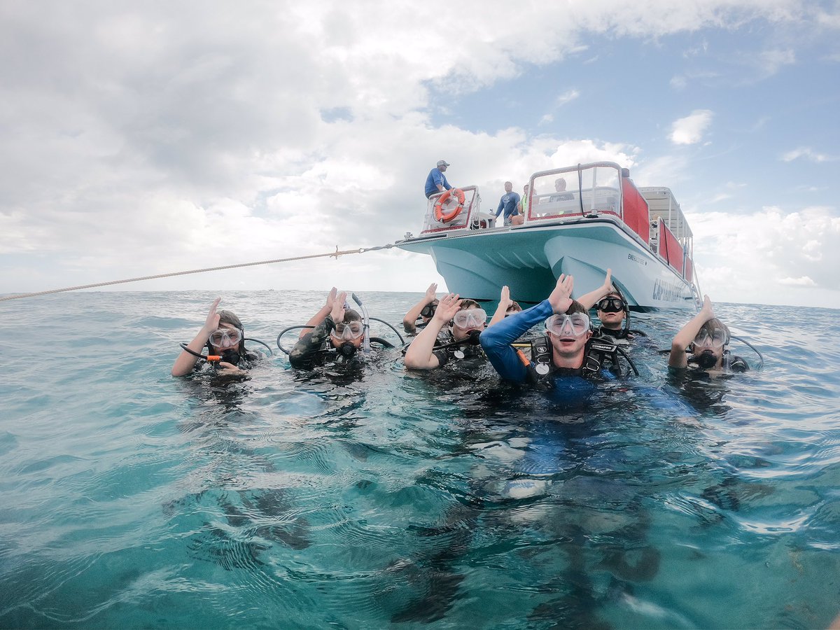 gstadventures tweet media