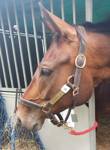 Tom Rowland tweet media