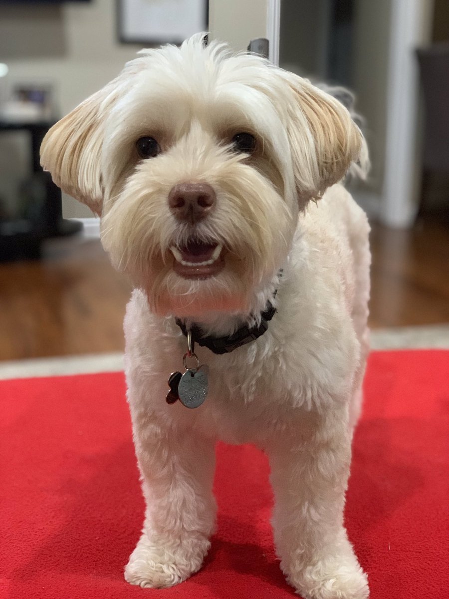 My dude. #TongueOutTuesday