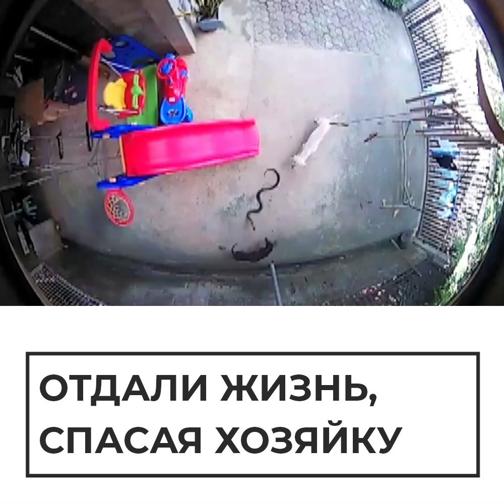 Российский представительский автомобиль Российский представительский автомобиль
