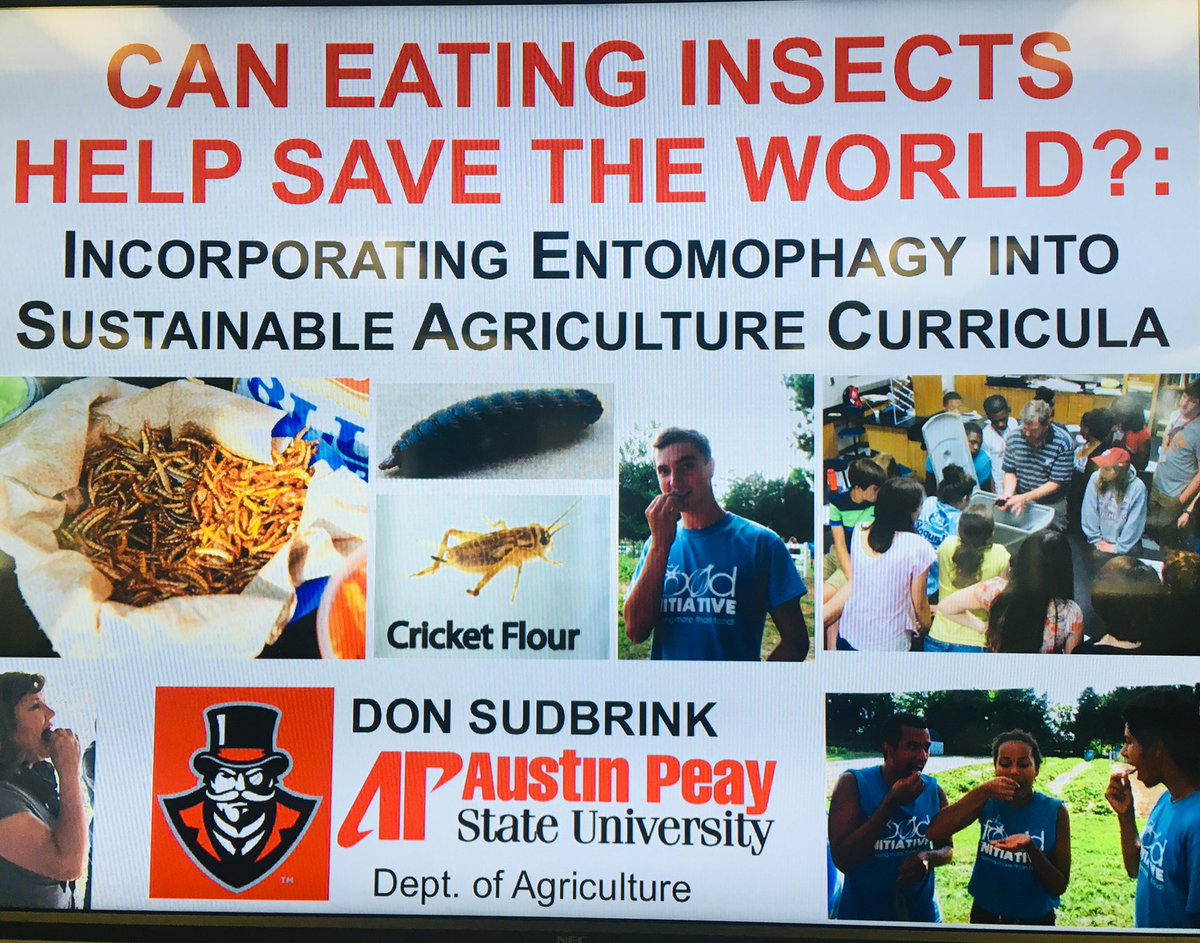 APSUeduc's tweet photo. Who doesn’t want to talk about eating bugs during lunch? #ruralscience #3Dscience @ScienceShorts3D @DonSudbrink @APSUCoSTEM https://t.co/tpwPU5f4Aw